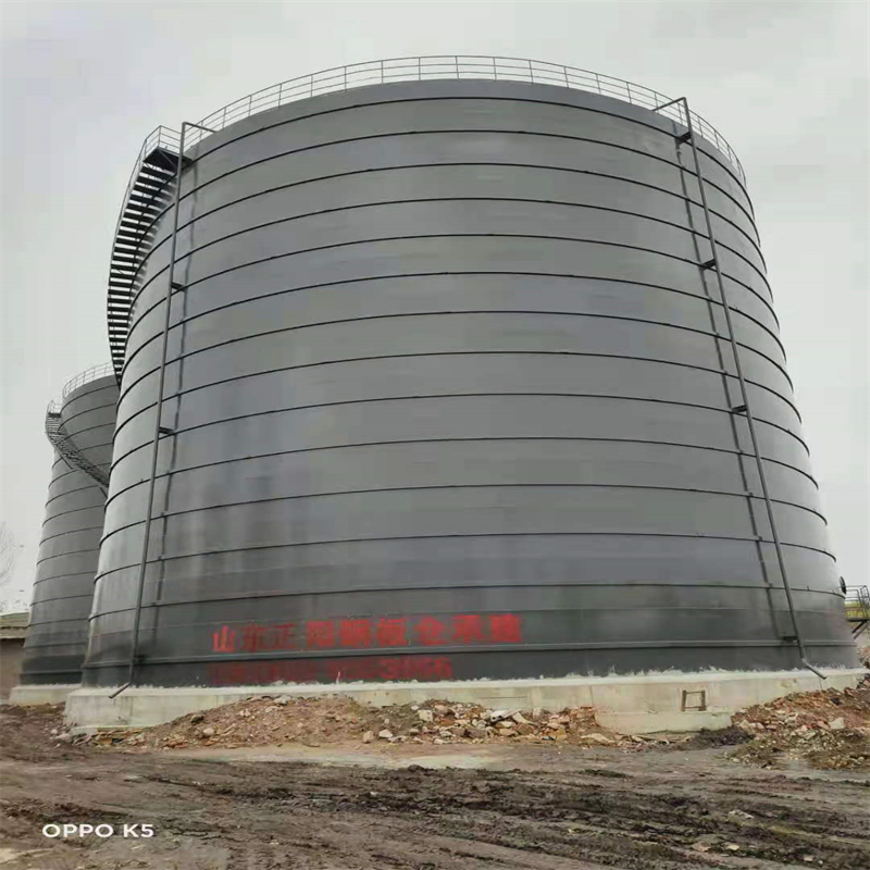 东至3万吨大型钢板库