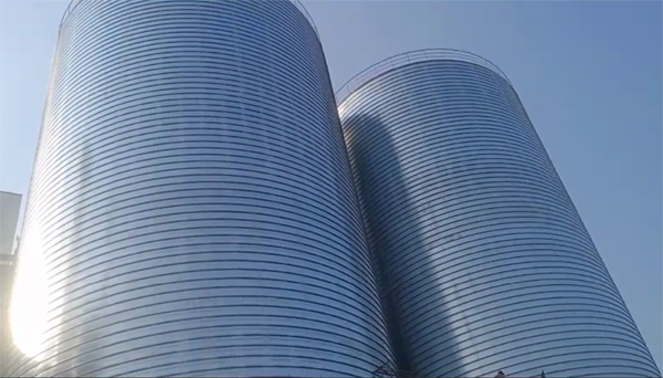 东至2座混凝土高架卷板仓